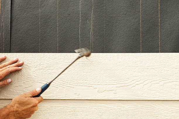 Best Custom Siding Design  in Alamosa, CO